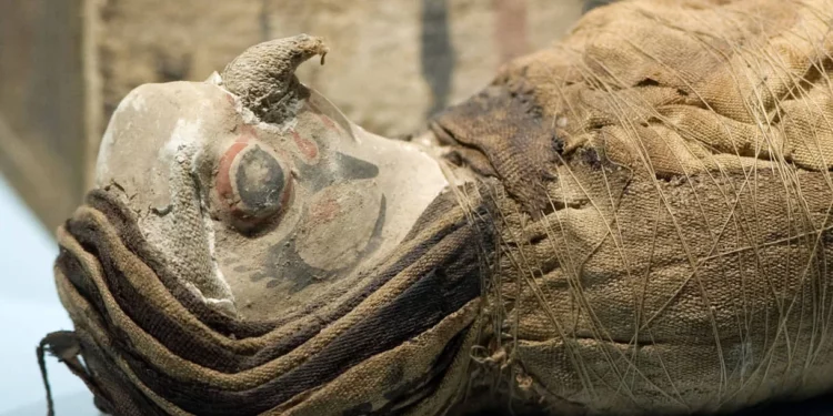 Halcones sin cabeza hallados en un antiguo templo egipcio
