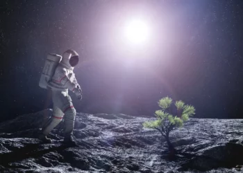 Israel pretende cultivar plantas en la Luna