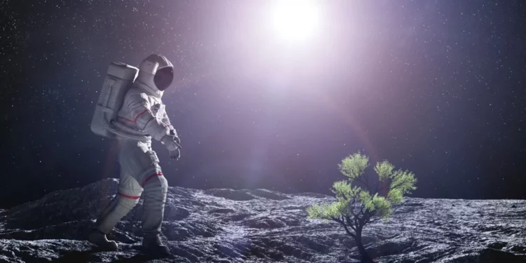 Israel pretende cultivar plantas en la Luna