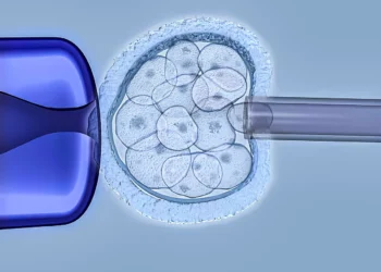 Israel podría introducir pruebas genéticas de pre implantación de alta tecnología