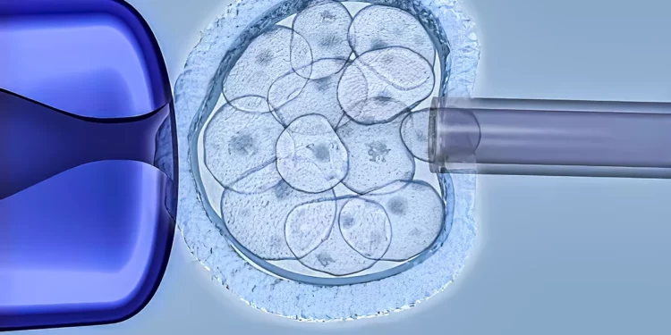 Israel podría introducir pruebas genéticas de pre implantación de alta tecnología