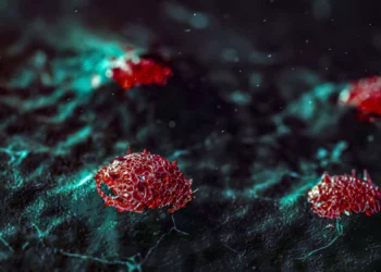 Científicos israelíes reduces en un 88 % la recaída de cáncer de mama en ratones