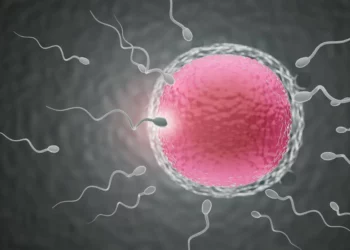 Estudio israelí revela que el número de espermatozoides en todo el mundo ha descendido un 62%