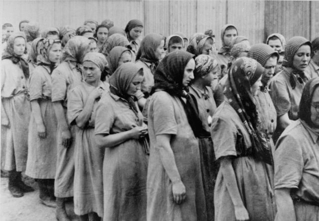 Los nazis intentaron esterilizar a las mujeres judías mediante sus comidas