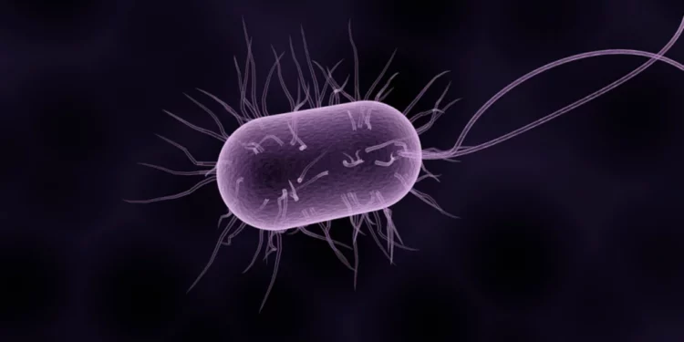 Un antiguo virus revive en el permafrost ruso tras 48.500 años
