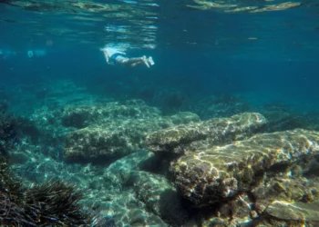 Arqueólogos descubren un barco romano de 2.000 años de antigüedad