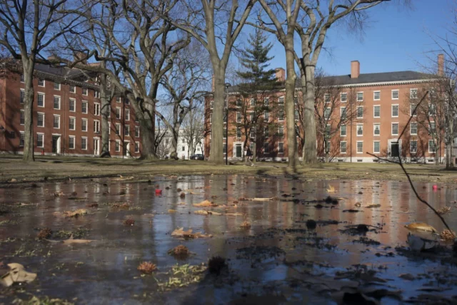 1.000 estudiantes israelíes piden a Harvard que condene el movimiento BDS