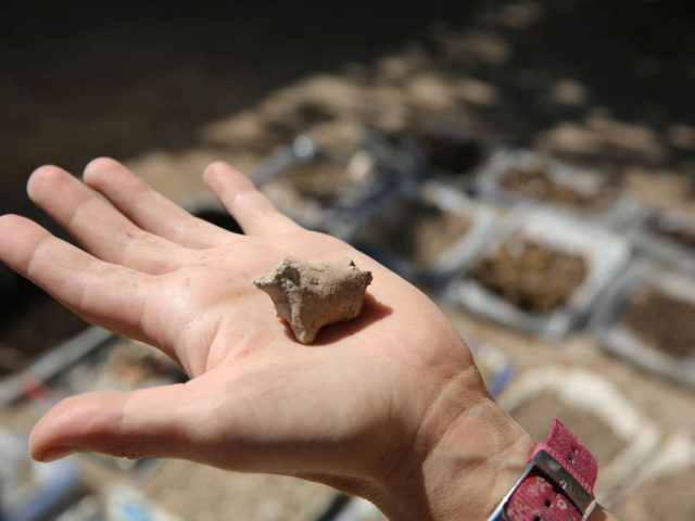 Arqueólogos israelíes hallan fibras de 7.000 años de antigüedad en el valle del Jordán