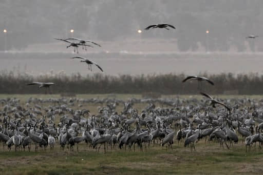 Los turistas visitan muy pocos parques nacionales y reservas naturales de Israel