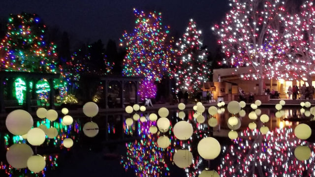 Conozca el mágico Festival de las Luces de Invierno en Jerusalén