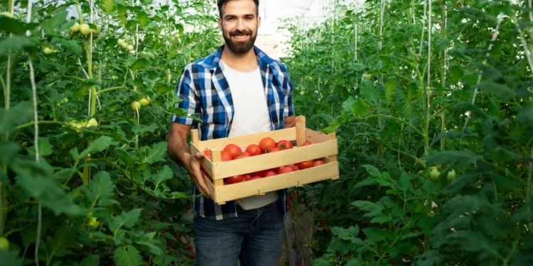 Agricultores israelíes aportan innovación a las nuevas cosechas