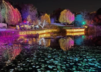 Conozca el mágico Festival de las Luces de Invierno en Jerusalén