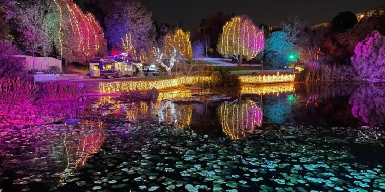 Conozca el mágico Festival de las Luces de Invierno en Jerusalén