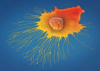 Científicos israelíes hallan sustancia que impide la propagación del cáncer en ratones con un 90% de éxito