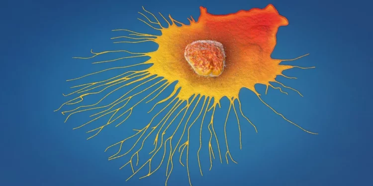 Científicos israelíes hallan sustancia que impide la propagación del cáncer en ratones con un 90% de éxito
