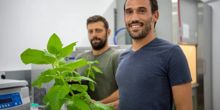 Empresa israelí de agrotecnología Pigmentum recauda $6 millones