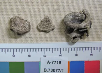 Hallan monedas de plata que usaban como dinero en Israel hace 3.600 años