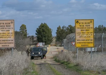 Sirios armados que se acercaron a la frontera, no eran combatientes