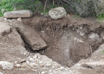 Detienen a ladrones que causaron “daños desgarradores” en un antiguo lagar en Israel