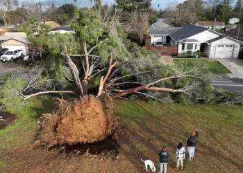 La tormenta de California deja a más de 120.000 personas sin electricidad