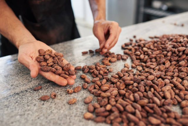 ¿Podría convertirse Israel en una superpotencia del cacao?