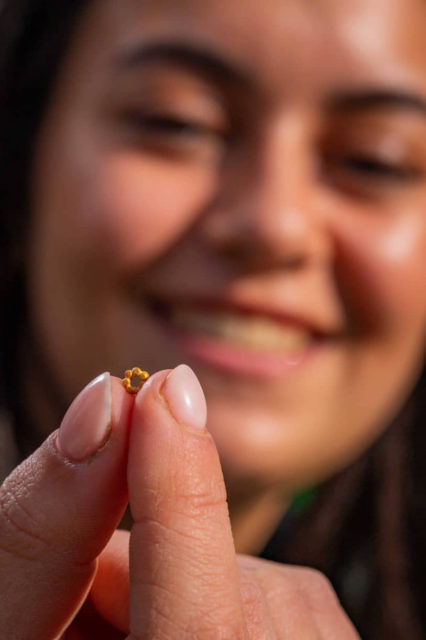 Hallan una piedra de oro de 1.600 años en Jerusalén