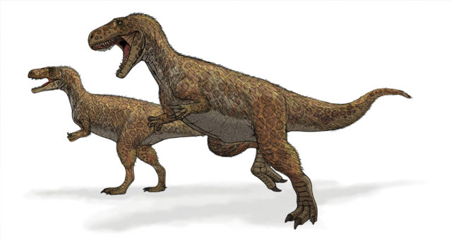 Descubren la huella de dinosaurio más grande del mundo en Inglaterra