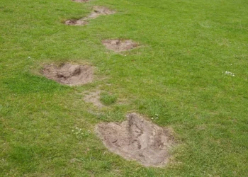 Descubren la huella de dinosaurio más grande del mundo en Inglaterra