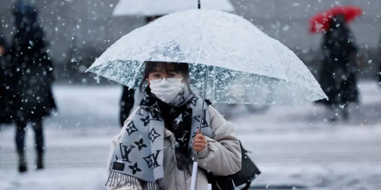 Académico de Yale sugiere que los ancianos japoneses se suiciden en masa