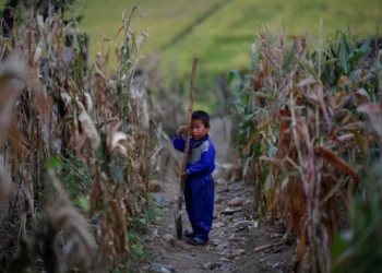 La escasez de alimentos en Corea del Norte parece agravarse