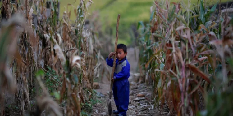 La escasez de alimentos en Corea del Norte parece agravarse