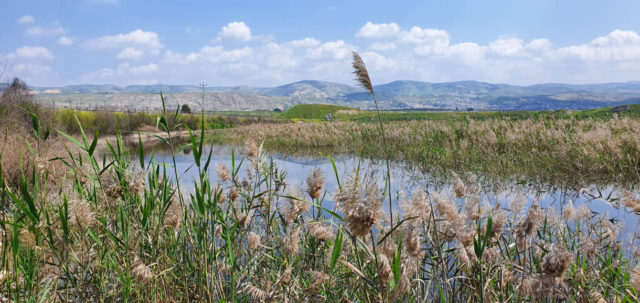 ONG israelí planea crear un régimen local de comercio de derechos de emisión de carbono