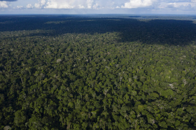 ONG israelí planea crear un régimen local de comercio de derechos de emisión de carbono