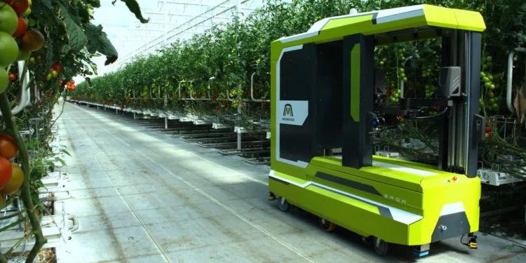 Empresa israelí desarrolla robot con IA para recoger tomates autónomamente