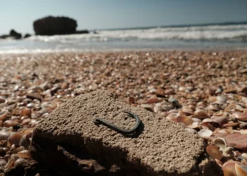 Descubren en Ashkelon un anzuelo de pesca de cobre de 6.000 años de antigüedad