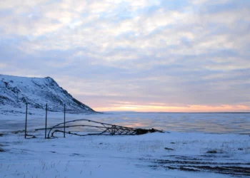 El sorprendente legado de los osos ancestrales en Alaska