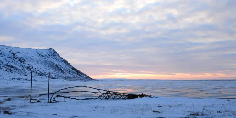 El sorprendente legado de los osos ancestrales en Alaska