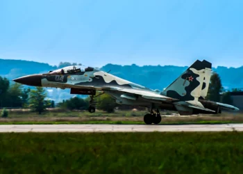 Su-30MKI_ruso-transformed.webp