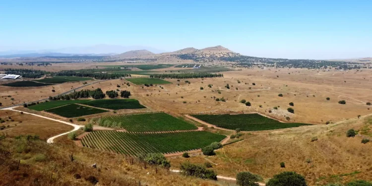 Ataque con cohetes desde Siria: uno cae en territorio israelí