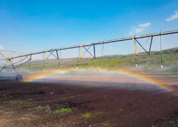 Ataque cibernético afecta sistemas de riego en Galilea: agricultores en alerta