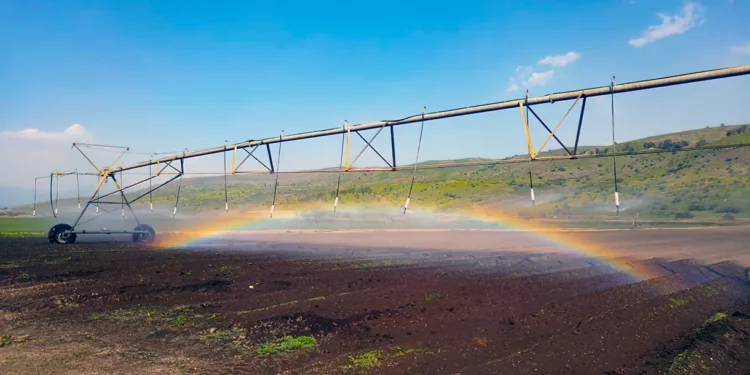 Ataque cibernético afecta sistemas de riego en Galilea: agricultores en alerta