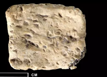 La “tablilla maldita” de 3.200 años en Israel genera controversia