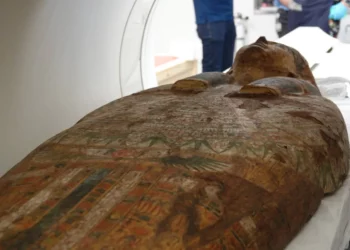 Avances tecnológicos en medicina revelan los secretos de los ataúdes del Antiguo Egipto