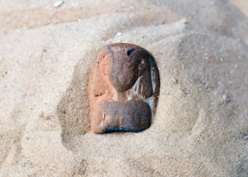 Descubrimiento en Israel de antigua estatuilla egipcia en la playa