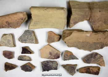 Tel Shikmona: Un testimonio fascinante del florecimiento del Reino de Israel