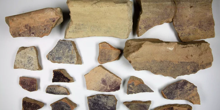 Tel Shikmona: Un testimonio fascinante del florecimiento del Reino de Israel
