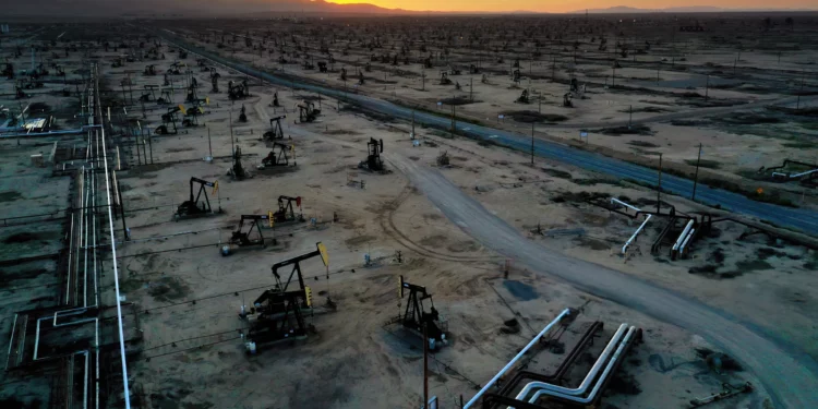 Sector de servicios petrolíferos en alza con sólido crecimiento