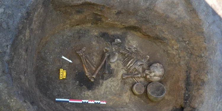 Estudio paleogenético descifra sistemas familiares de la Edad de Bronce