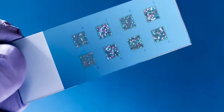 Nanotecnología israelí: Salto cuántico para tratar el cáncer