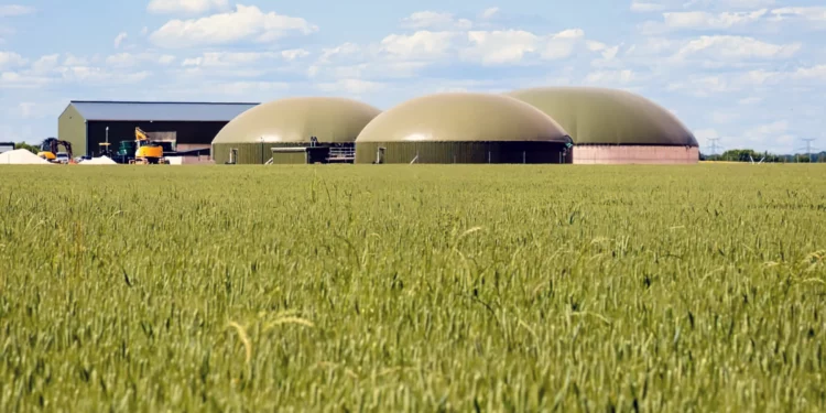 Biocombustibles producidos a partir de residuos del trigo